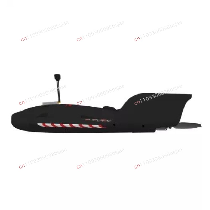Electric Sonicmodell AR Wing P - đánh giá và giá Drone Rc Kit